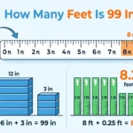 In for graphic is showing that How Many Feet Is 99 In?