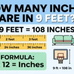 How Many Inches Are in 9 Feet?