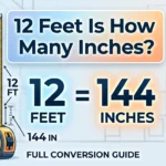 Infographic is showing that 12 feet is how many inches