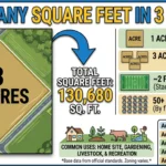 Infographic is showing that How Many Square Feet Are in 3 Acres?