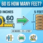 Infographic is showing that How Many Square Feet Is a Standard Two Car Garage?