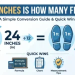Infographic is showing that 24 Inches Is How Many Feet? Easy Conversion Guide