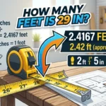 Infographic is showing that How Many Feet Is 29 In? Quick Conversion Guide