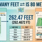 Infographic is showing that How Many Feet Is 80 Meters? Simple Conversion Guide