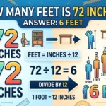Infographic is showing that How Many Square Feet Is Mall of America? Full Guide