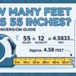 Infographic is showing that How Many Feet in 55 Inches? Simple Conversion Guide