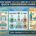 Infographic is showing that How Many Inches Are in 15 Feet? Quick Conversion Guide
