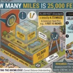 Infographic is showing that How Many Miles Is 25,000 Feet?