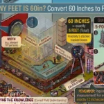 Infographic is showing that How Many Feet Is 60in? Convert 60 Inches to Feet Easily