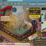 Infographic is showing that How Many Feet Is 18 Meters? Exact Conversion Guide