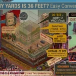 Infographic is showing that How Many Yards Is 36 Feet? Easy Conversion Guide