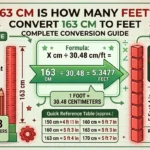 Infographic is showing that 163 cm Is How Many Feet? Convert 163 cm to Feet